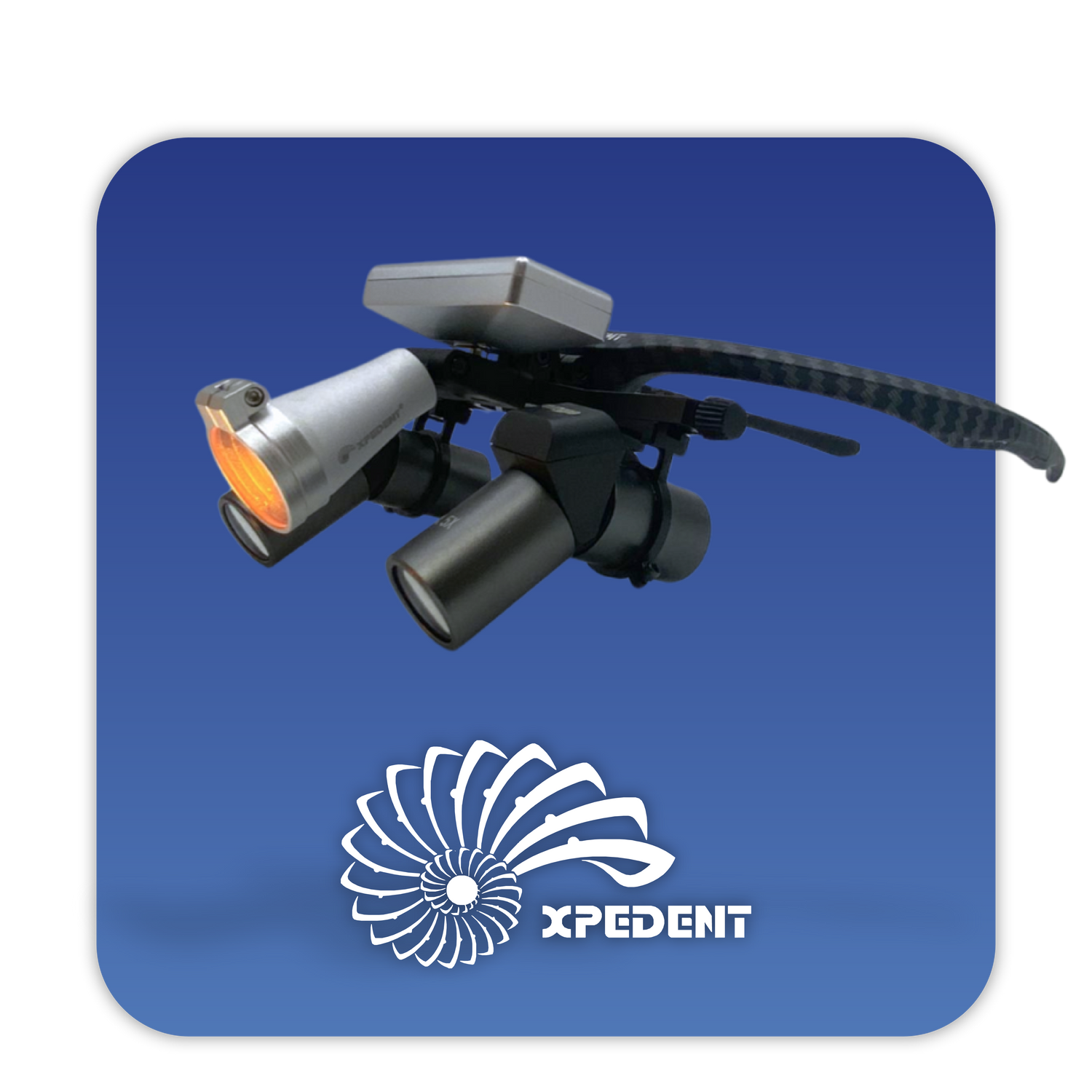 Xpedent